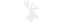 Reindeer by GGILPRO sale of swimming pools in Belgium